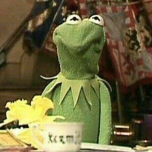 Meet your Posher, Tracey